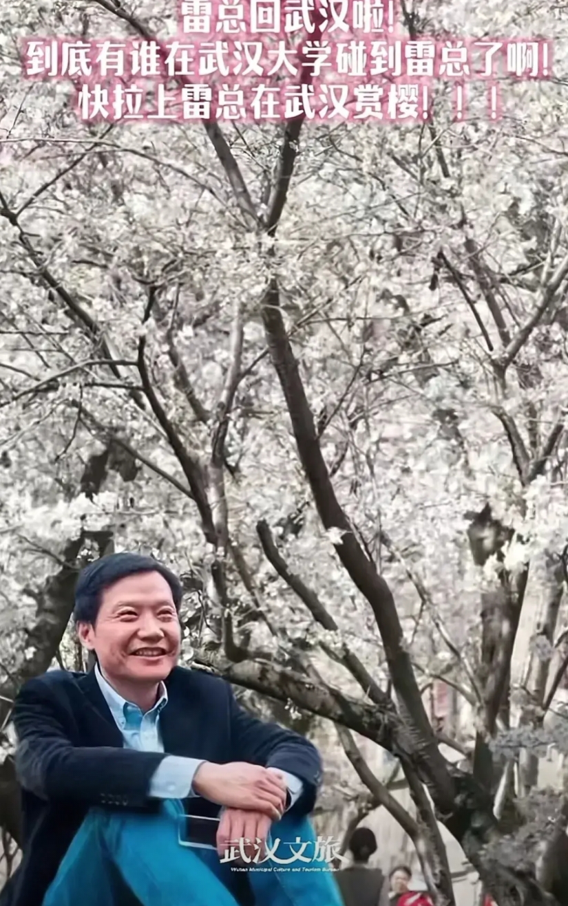 雷军、陈数都来武汉大学看樱花了！

又到三月赏樱时，武汉大学的樱花开满枝头，看樱