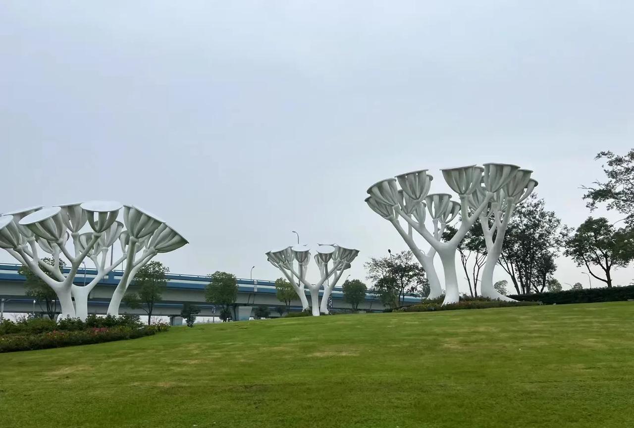 #拍一张你的城市美景#