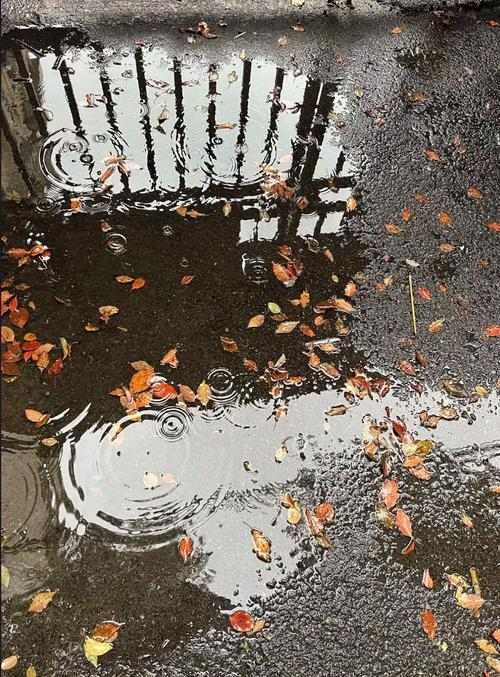 阴雨天时，不必焦虑。
太阳并未消失，只是在云层之上积蓄着更大的光芒。
你的好运，