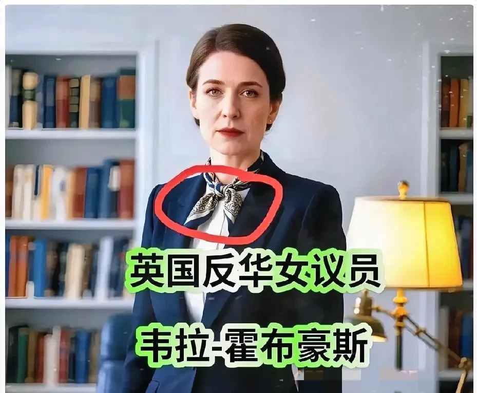 反华议员被拒入境香港











怎么回事？一位英国反华议员兴冲冲地要