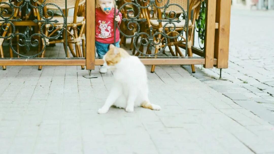 到底男的更好色，还是女的更好色