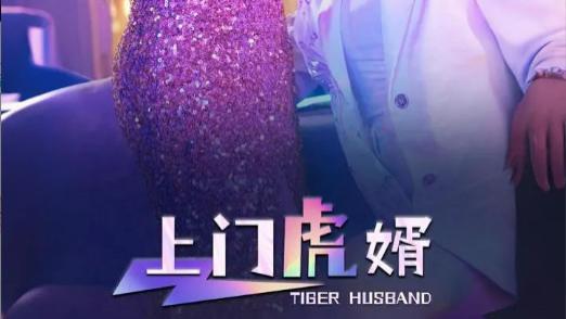 短剧《上门虎婿》温柔宠妻无极限，心尖宝贝只为她-上门虎婿（全96集）王格格、柴吴辰
