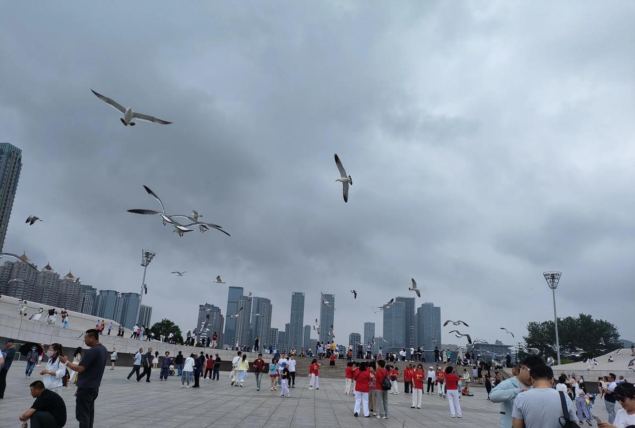 大连的免费景点，老少皆宜！
大连是座美丽的海滨城市，冬天不太冷，夏天不太热，宜居