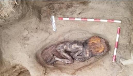 【秘鲁发现5000年前贵族女性木乃伊】一名20至35岁女性的遗骸保存了皮肤、头发