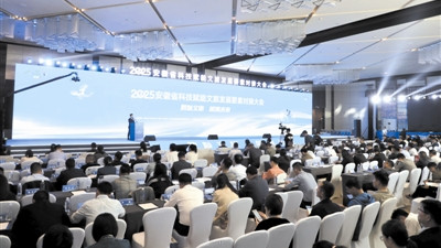 2025安徽省科技赋能文旅发展要素对接大会成功举办