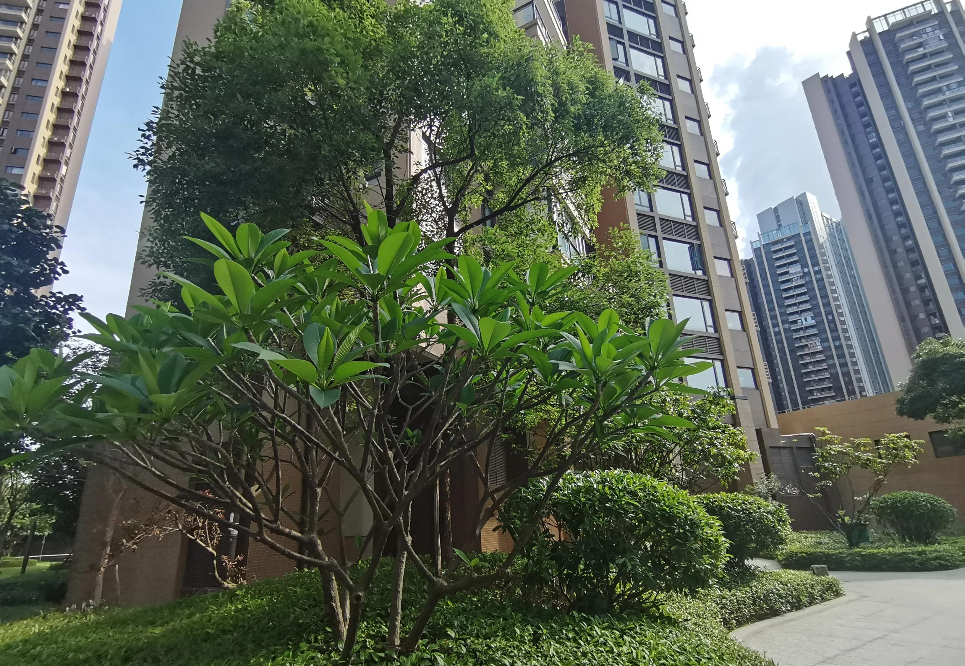 同事说她最后悔的事，就是她以为帮了妹妹，结果却害了妹妹。那次购物，她无意间看到妹