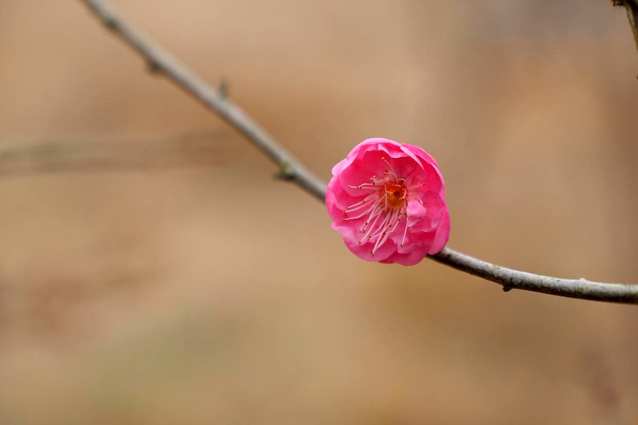 都说面相决定命运，现在又冒出个“出轨脸”？牛津大学研究表明，通过长相判断忠诚度，