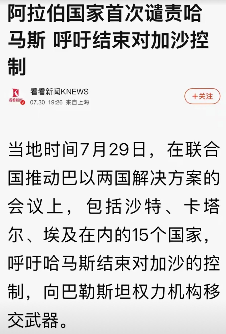 哈马斯组织是好是坏，阿拉伯国家最有发言权，别跟我说那些护照都没有的，也没去过中东
