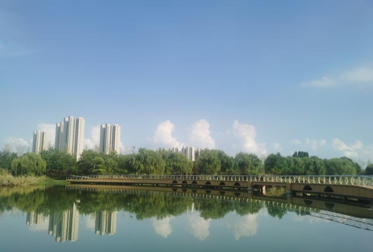 昨天下午，我打乒乓球时发现了一个颇为有趣的现象。
好几位球友都在热烈议论公司这次