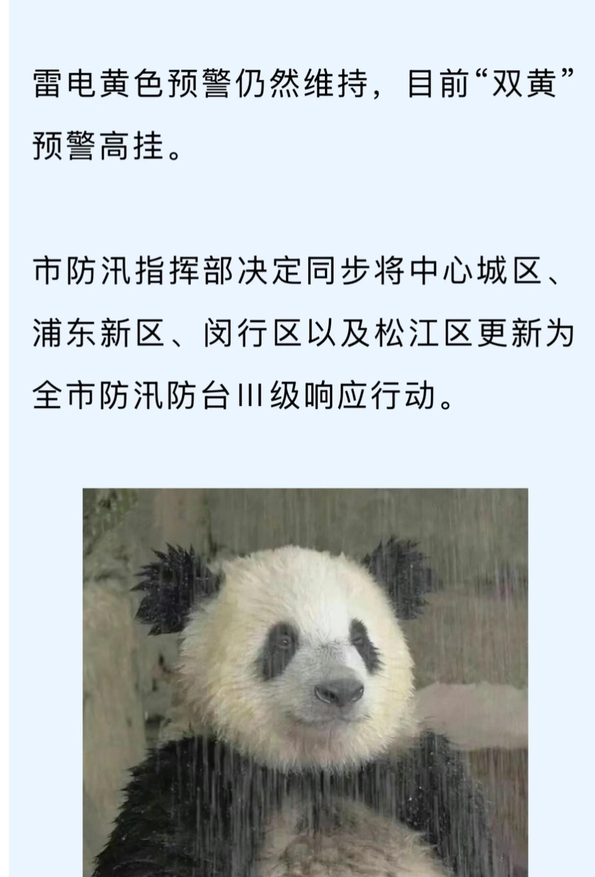 上海，快点给重重寄西瓜，结一下出场费啊
重重的洗澡名场面我能循环亿遍！
要说对手