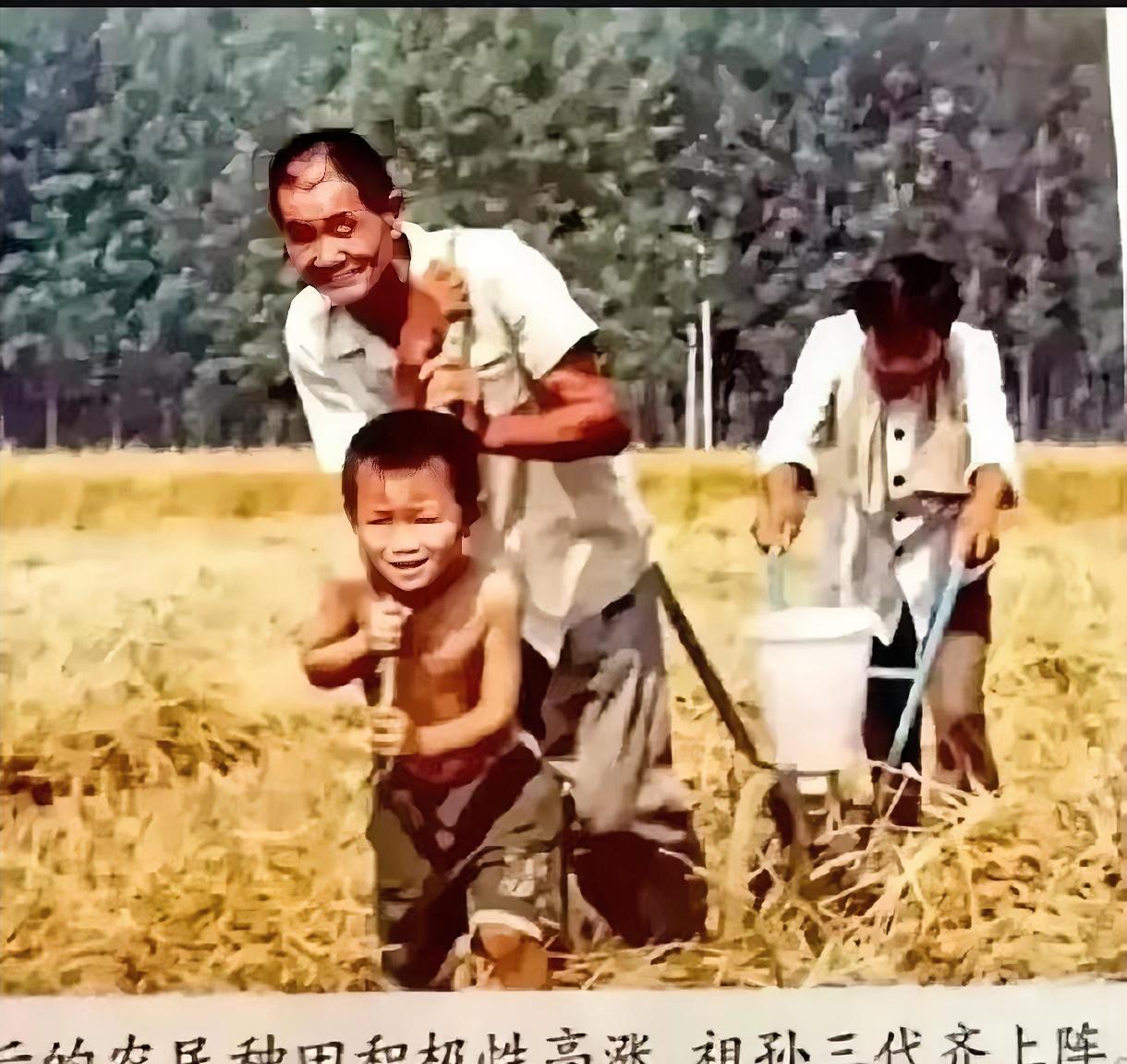 分田单干最深刻的事情不是是否吃饱饭，而是分田单干开始农民吵架太厉害了，吵了十多年