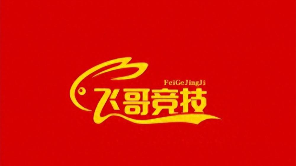 马尔默对阵赫根