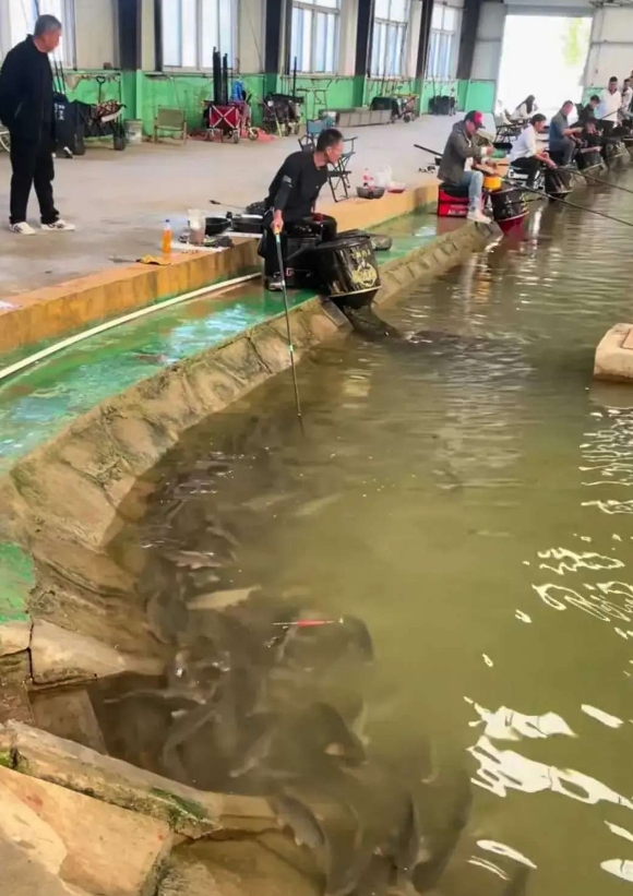 这应该算是挑衅.......
