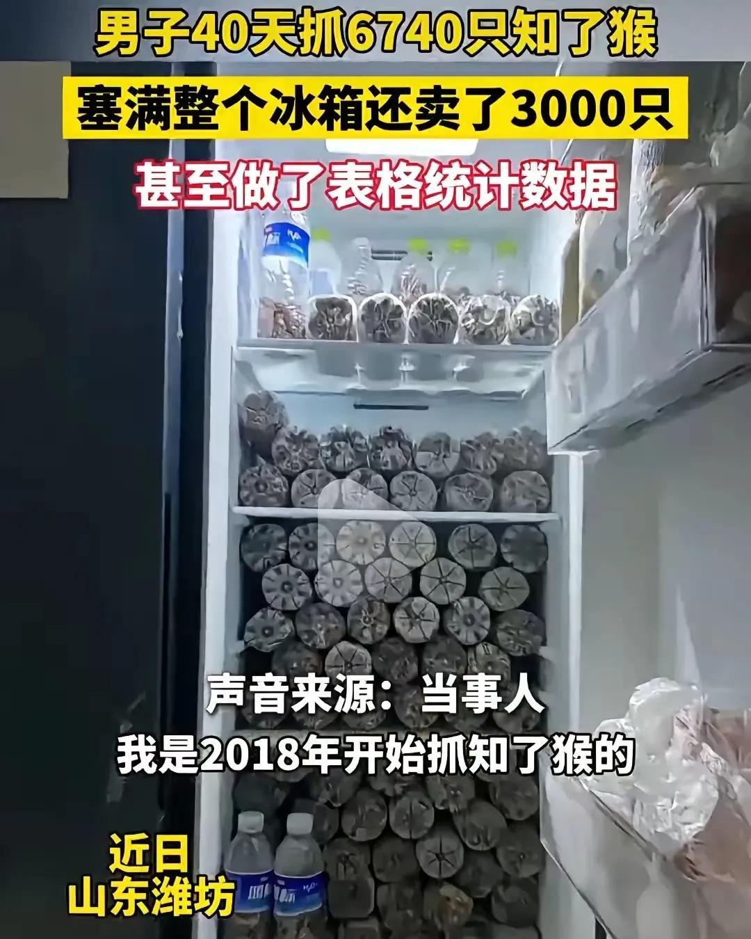 这样的狠 人，简直就是知了猴的终结者！多少知了猴听到他的大名，估计都在瑟瑟发抖[