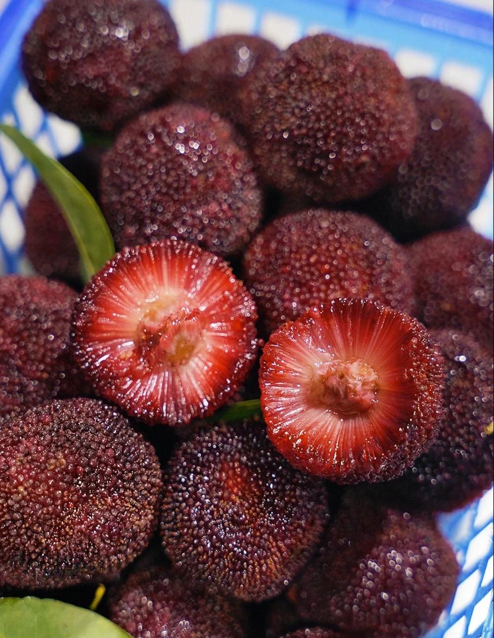 浙江东魁杨梅打卡攻略 ，  杨梅季的甜蜜之旅🍇