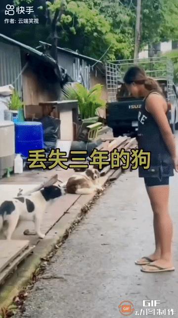 一女子路过一个村庄的时候，突然发觉自己丢失了三年的狗狗就在眼前。她激动地看着狗狗