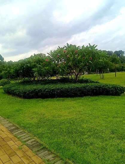 河南周口一个小伙子花了三十万娶隔壁村姑娘，办了酒席没领证，现金给出去二十五万多，