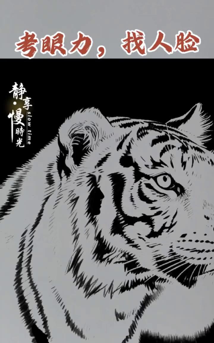 考眼力，找人脸。
这张图里藏有三张人脸，真的很难找。我看了很久，只找到两张，第三