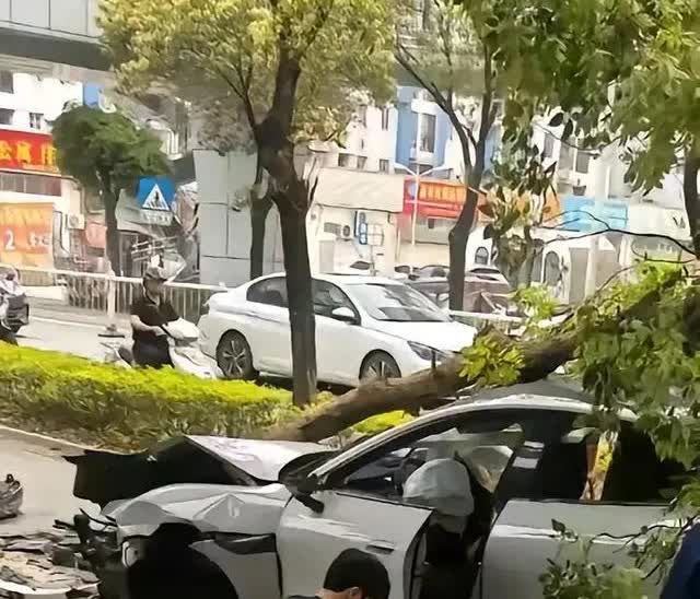 雷军造车，都没有你们“造”的快！

我就想问问，买小米汽车的车主，你们开这么