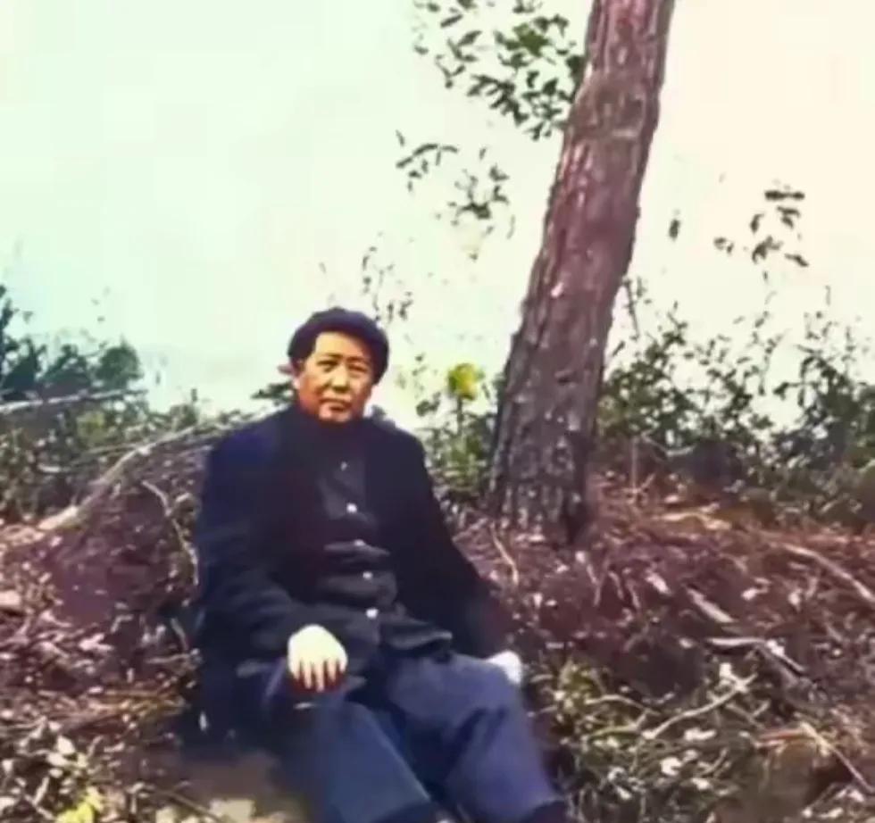 毛主席坐在一堆杂草上歇息，就像一个农民老大爷，真接地气！
毛主席参加会议也好，下