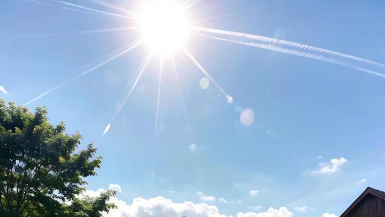 美文选读｜单恋之爱