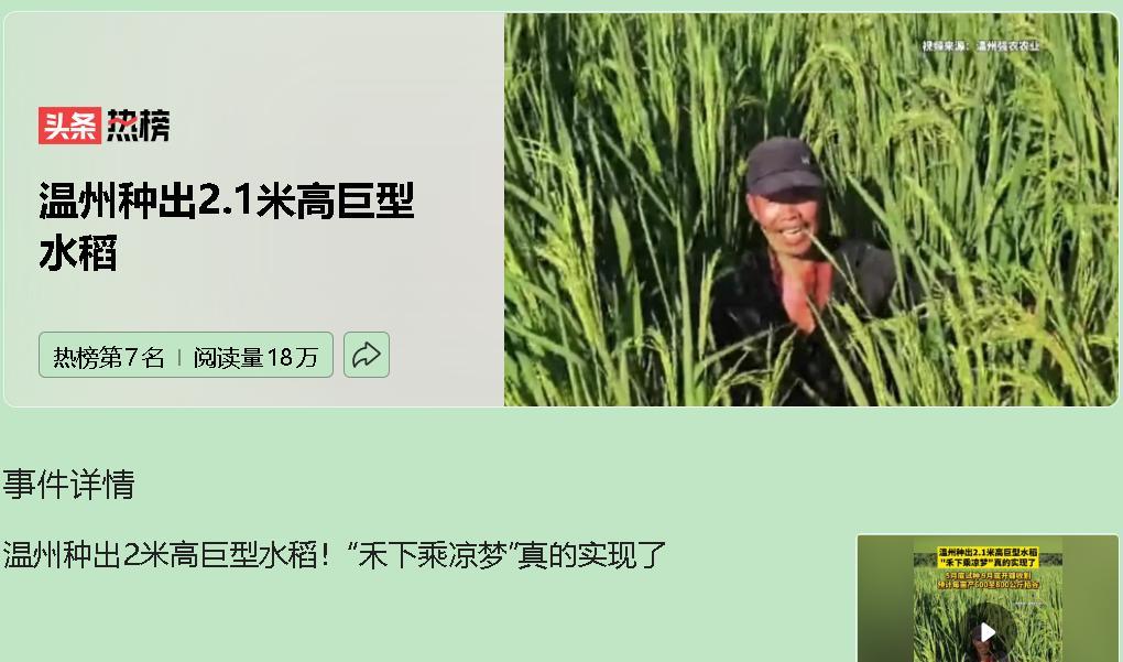 “禾下乘凉”成真了，可农民却不敢种？
袁隆平院士的梦想照进现实——温州出现2米高