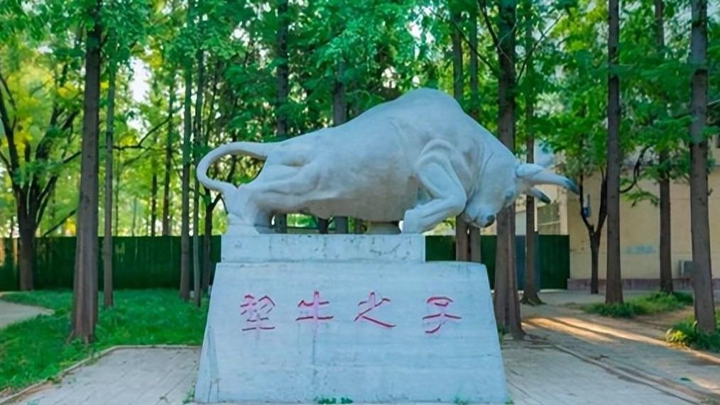 今年录取最火的3类专业，考生宁愿放弃985也要报，网友称要理性