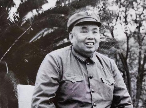 王耀武特赦求和解，许世友怒拒不原谅，济南战役恩怨长