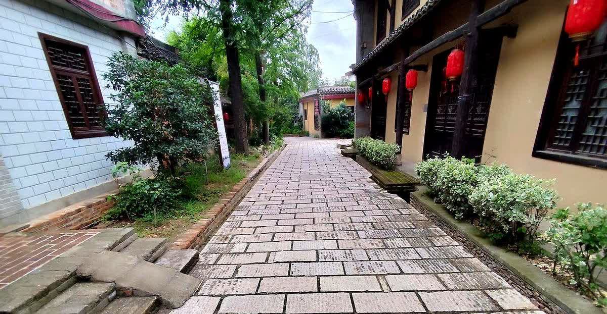 我为什么要跟风写郑秉文是个坏人？

我是老人老办法退休的，与中人，新人比，少