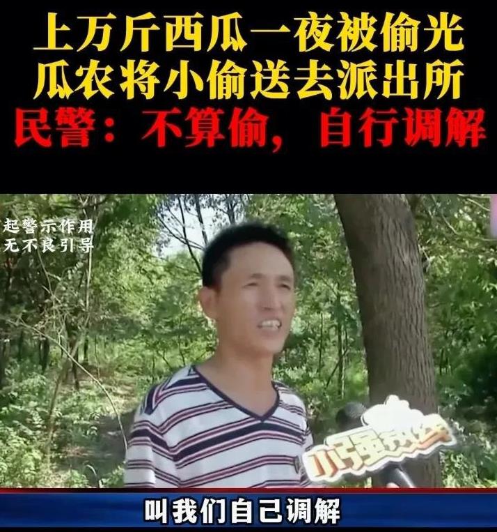 陈师傅与爱人辛苦种出的西瓜，竟被一伙人偷了个精光。
陈师傅一气之下，将逮住的三个