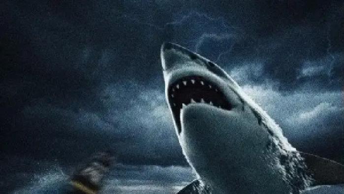 短剧《巨鲨风暴》全网热播，深海巨鲨掀起的惊险风暴究竟如何收场