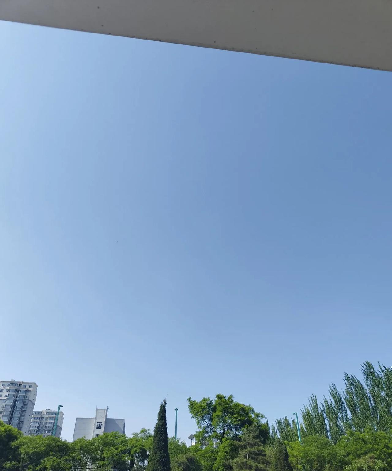 此时此刻，我站在窗前，心绪万千，却不知该怎么表达，谢谢大家的情意和惦念。
落了几