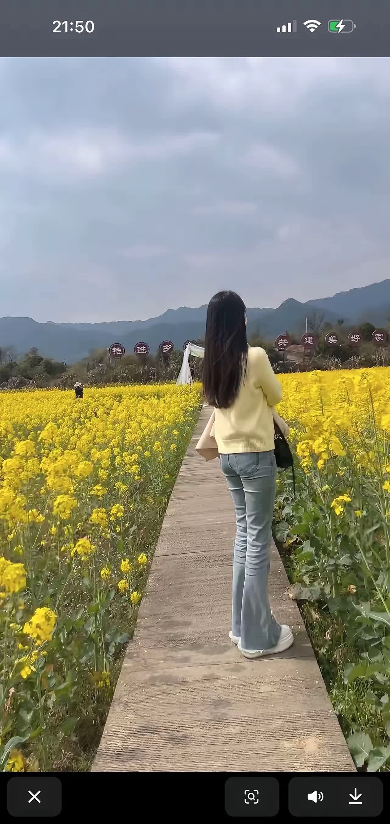 我觉得今天这花场经营得可真有门道！