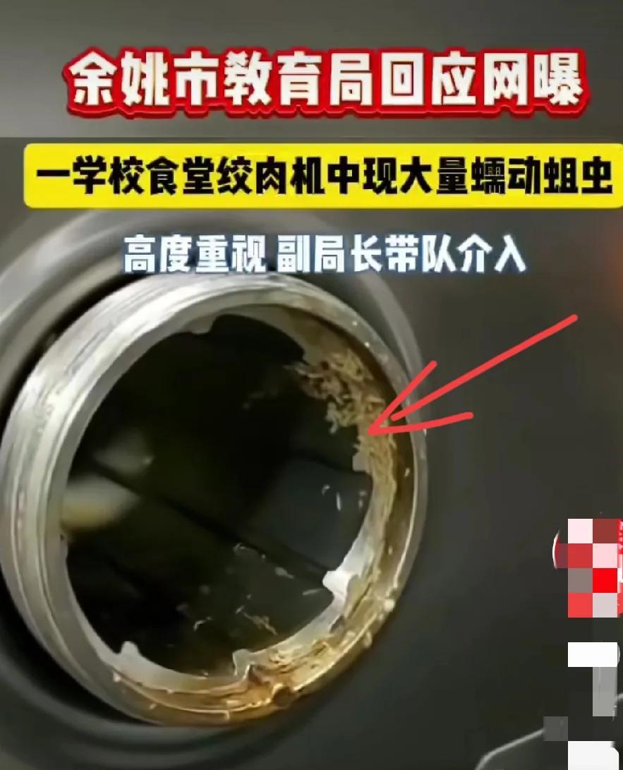 太恶心了！网曝一学生食堂绞肉机内发现有大量活蛆！
网友看了非常气愤，如果这些孩子