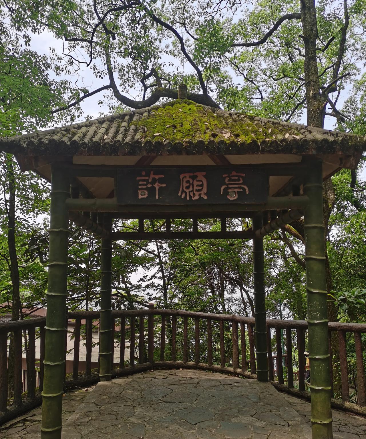 好些天没有发文章了，自从到了重庆，我便一门心思写小说，三月初至今，快有120天了