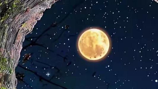 【明日黄历】2025年10月24日（农历九月初四 星期五）黄历解析