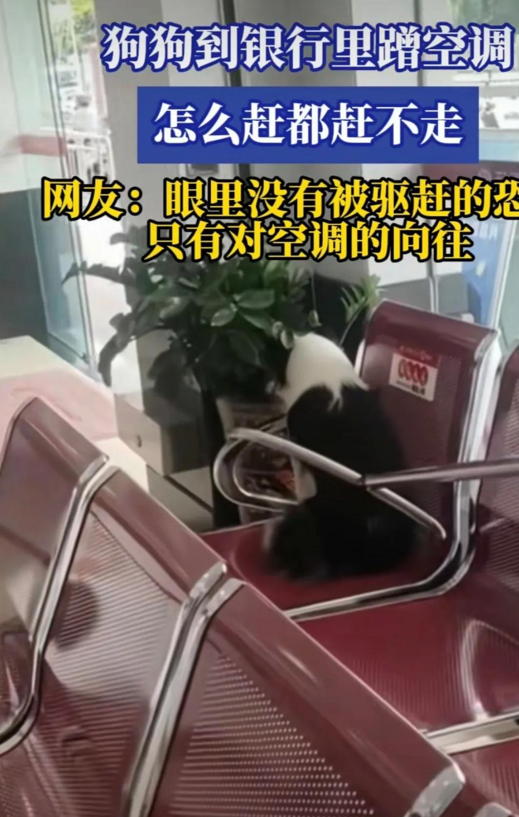 进入6月中下旬，夏天最热的时候到了，气温都飙到30多度，室外地面温度都高达五六十