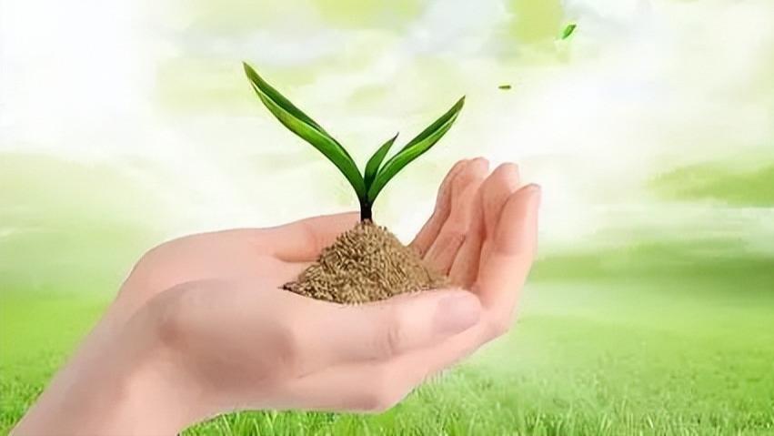 生命如花虽凋零，英雄本色照汗青