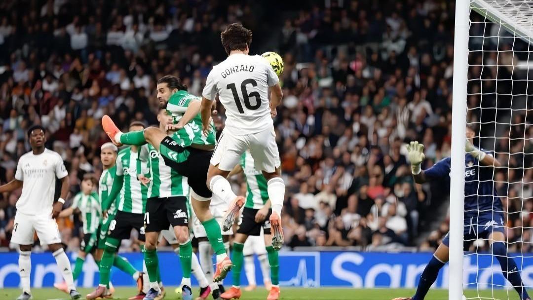 今日竞彩焦点分析：非洲杯豪门出击，英冠狐狸城主场抢分！