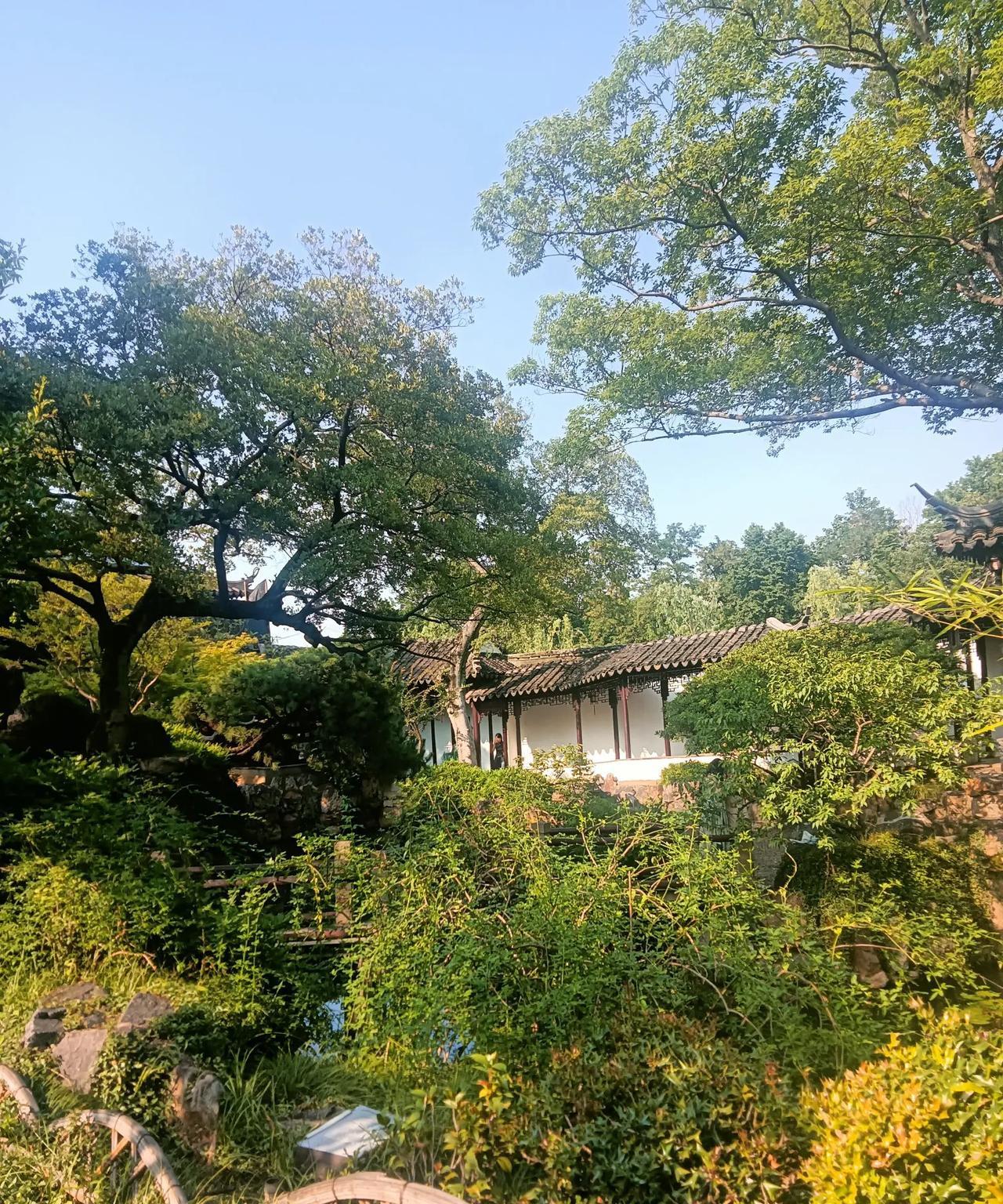 #旅行随手拍#小巷深处的苏州藕园......
