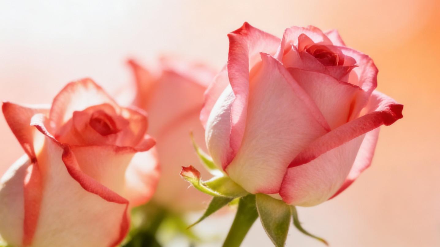 男人动了真心的 3 个信号，藏不住的