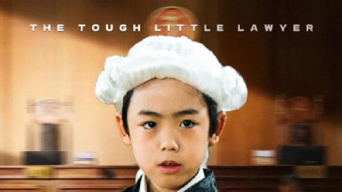 短剧《小小律师不好惹》全网热播, 小小律师如何在困境中披荆斩棘