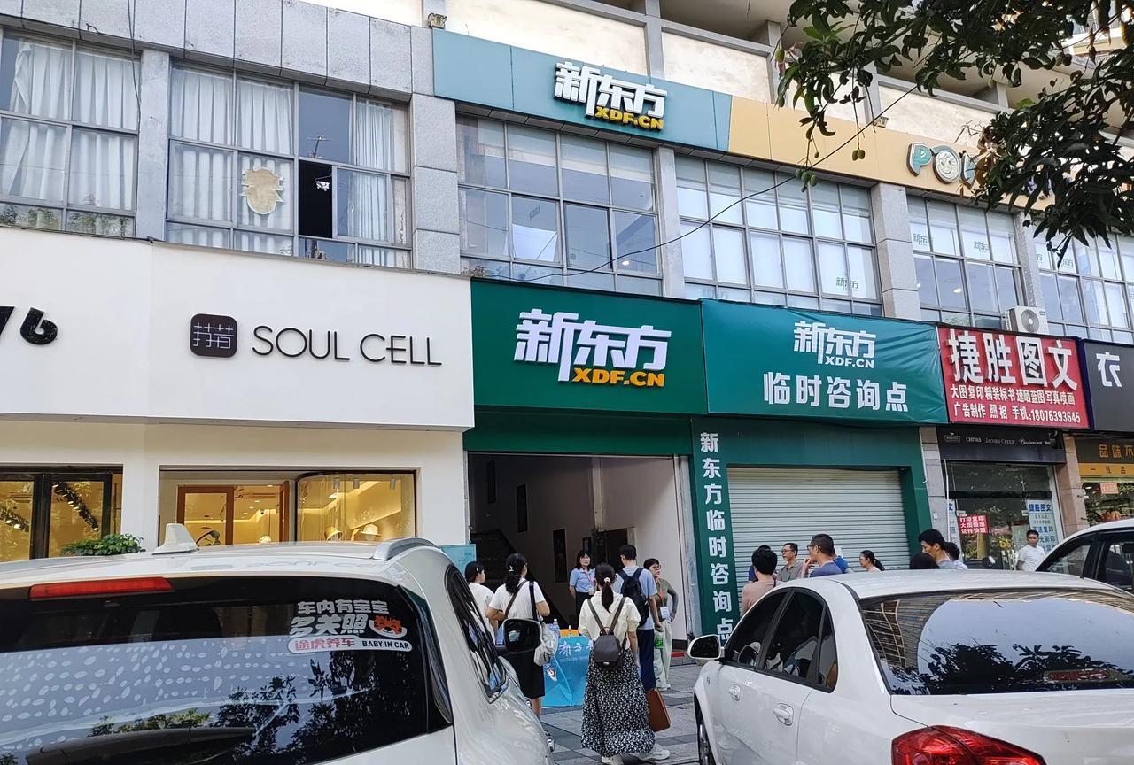 新东方又可以光明正大的开了吗？
宣传资料上非常明确的写着一至六年级。暑假约60天