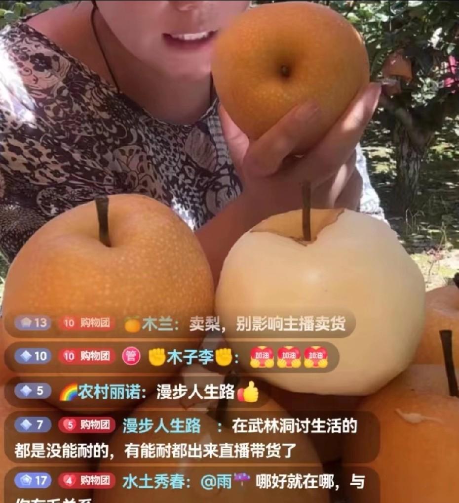 五林洞小雪又被牵连了，今天林区小明直播卖秋月梨，评论区有人说在五林洞讨生活的都是