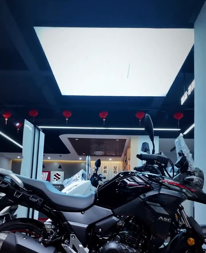 东莞豪爵铃木DL250。
不配三箱的拉力车，跑不快的拉力车，开不坏的拉力车，铃