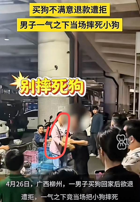 广西柳州男子摔死小狗后续，帽子叔叔已经介入调查，据围观路人爆料，小狗是孩子花15
