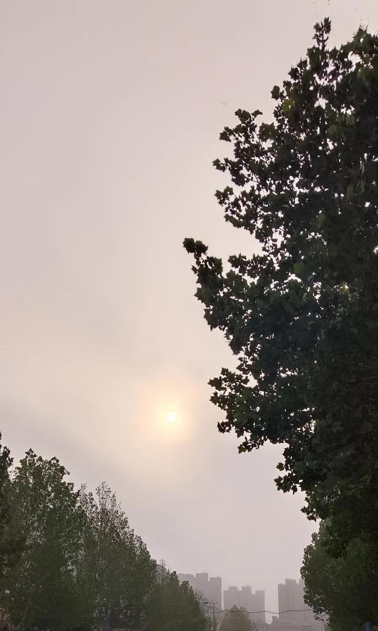 大夏天的我能活着
我要感谢两个人
第一他是美国人威利斯·开利
他发明了空调
第二