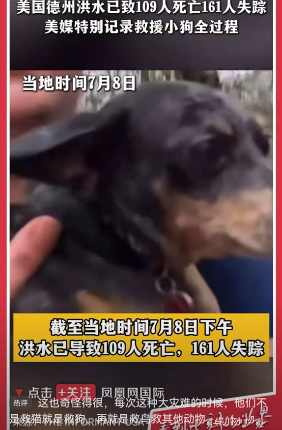 果然网友没有猜错，得州洪水救出一条狗。中国人在作秀方面真的差太远了，人家美国消防