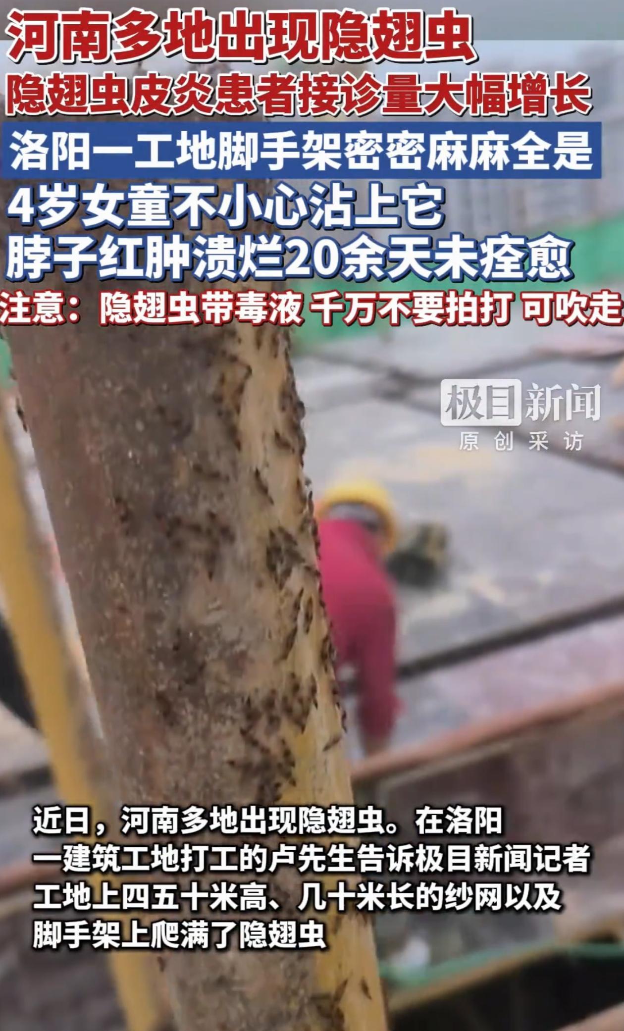 “看着都害怕！”河南洛阳，工人卢先生在建筑工地干活时，发现工地上出了怪情况，四五