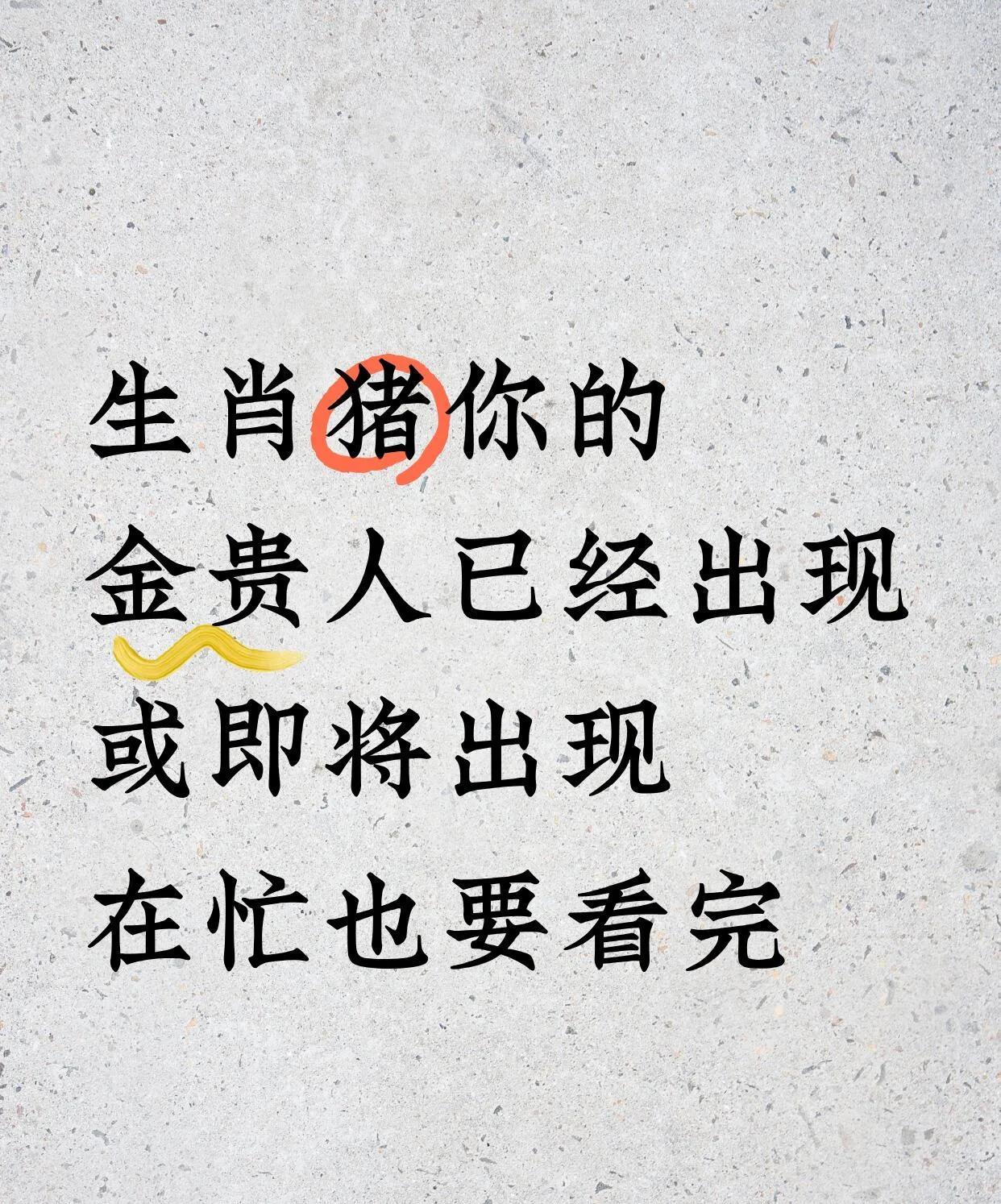 生肖猪，你的贵人出现了！！